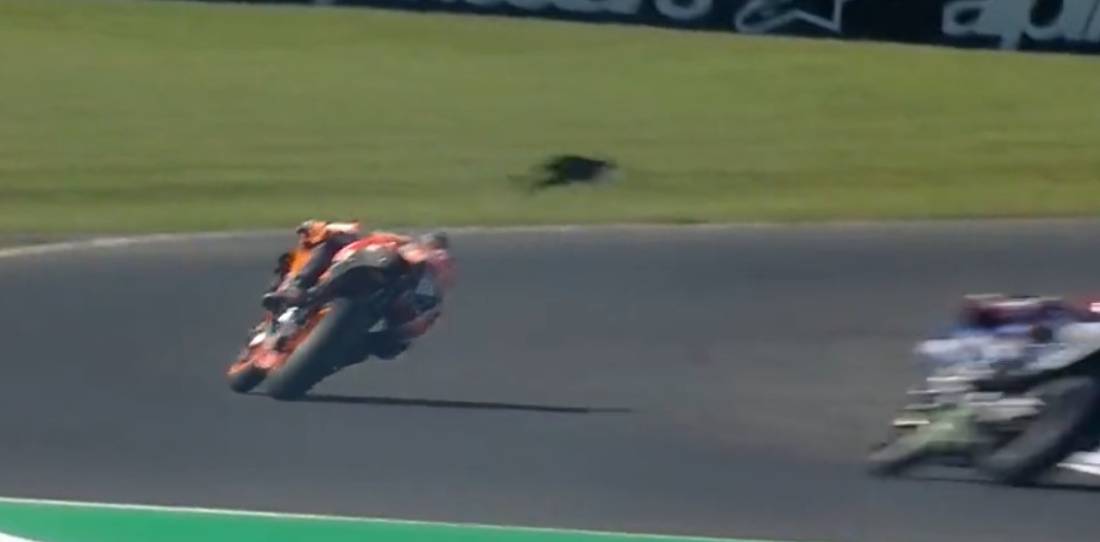VIDEO: se cruzó un wallaby en pleno entrenamiento de MotoGP
