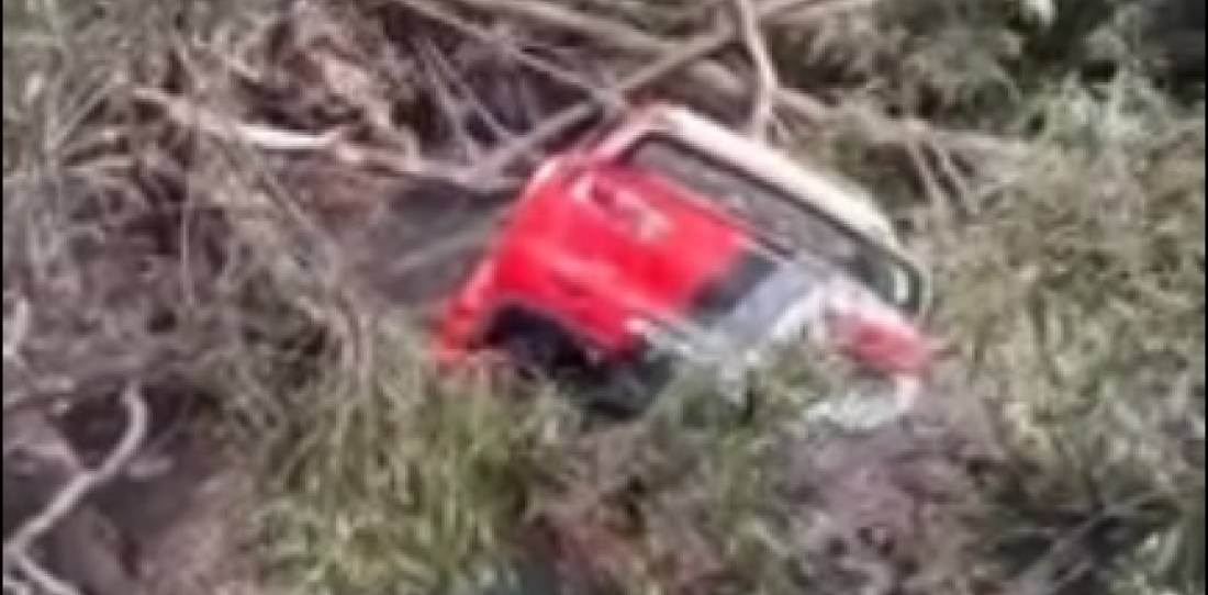 VIDEO: impresionante accidente en Uruguay: se quedó sin frenos y se incrustó contra los árboles