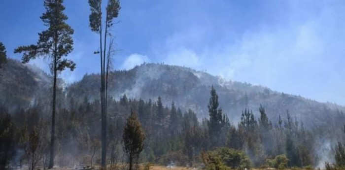 Chubut: se incendió un parque nacional y no descartan que haya sido intencional