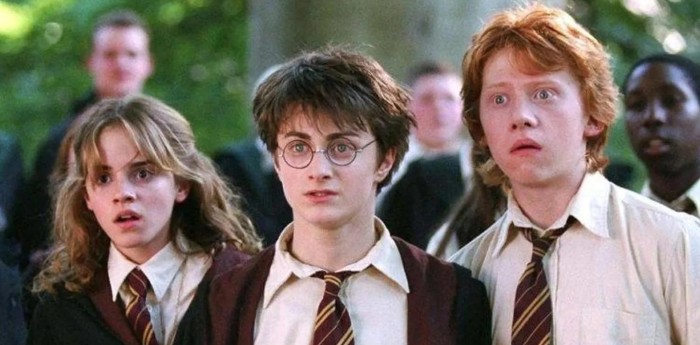 "Podría haber ido cuesta abajo": la revelación por parte de una estrella de Harry Potter