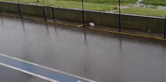 TC: llegó la lluvia a La Plata y le agregó un condimento extra a la definición