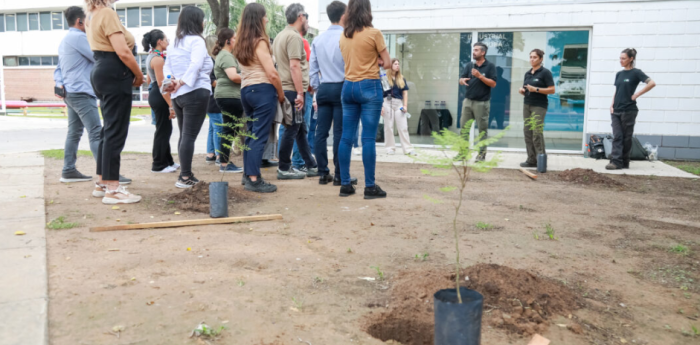 Reforestación en la fábrica de camiones de Volkswagen en Córdoba